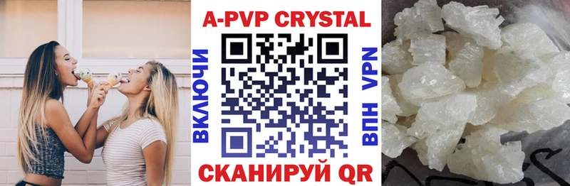 A PVP СК  Бердск 