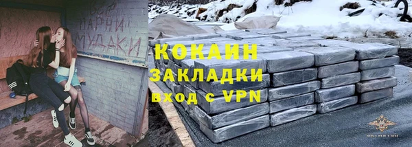 прущие грибы Валдай