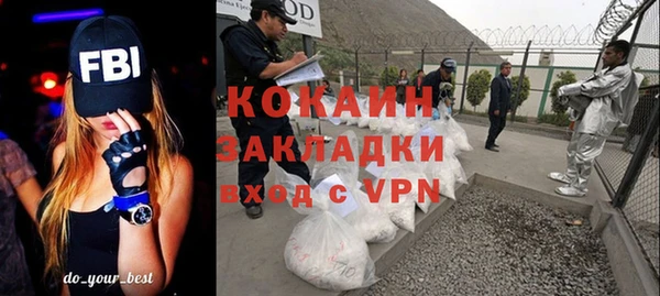 прущие грибы Валдай