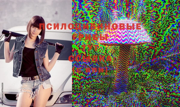 МДПВ Мурманск