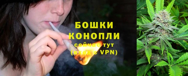 прущие грибы Валдай