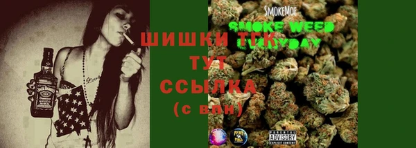 спайс Кострома
