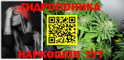 метадон Аргун
