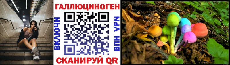 Галлюциногенные грибы ЛСД  Бердск 