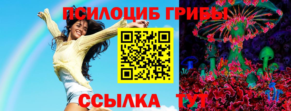 Галлюциногенные грибы Psilocybe  закладка  Бердск  Псилоцибиновые грибы Cubensis 