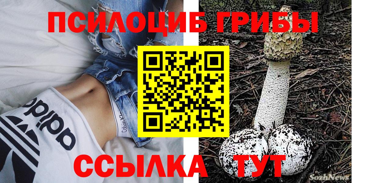 Псилоцибиновые грибы мухоморы Бердск