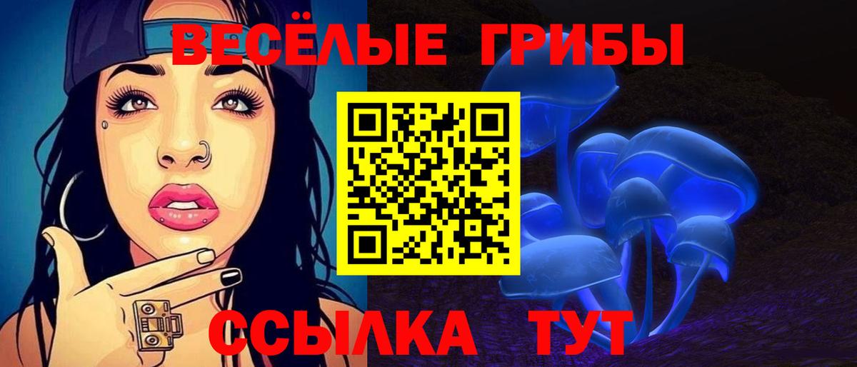 Галлюциногенные грибы Cubensis  Вход с VPN  Галлюциногенные грибы MAGIC MUSHROOMS  Бердск 